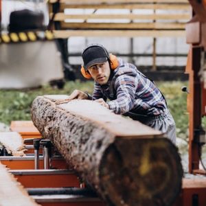 PROLEMN: Productia in industria lemnului scade cu 30%, impact de -1% in PIB